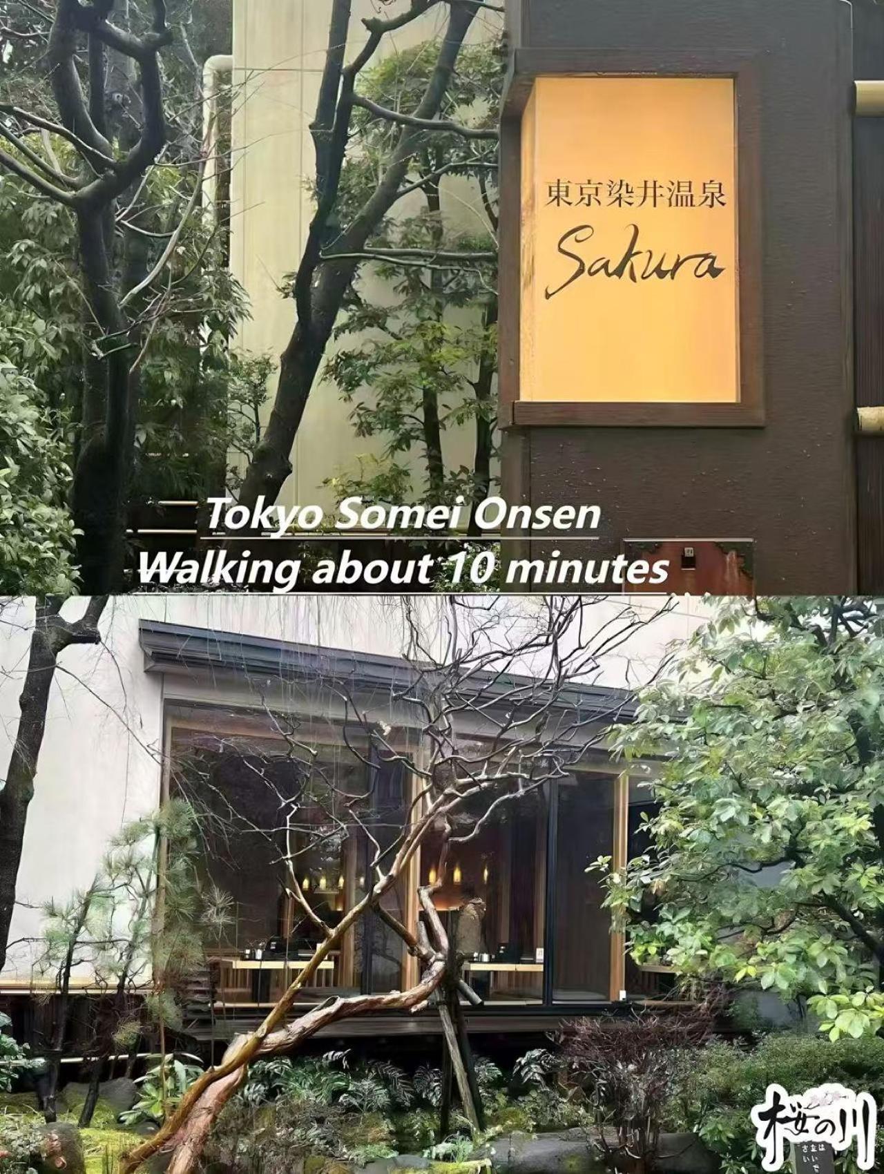 桜の川3 Sugamo Diamond Mansion 105 Direct To Ikebukuro Yamanote Line 5mins Apartemen