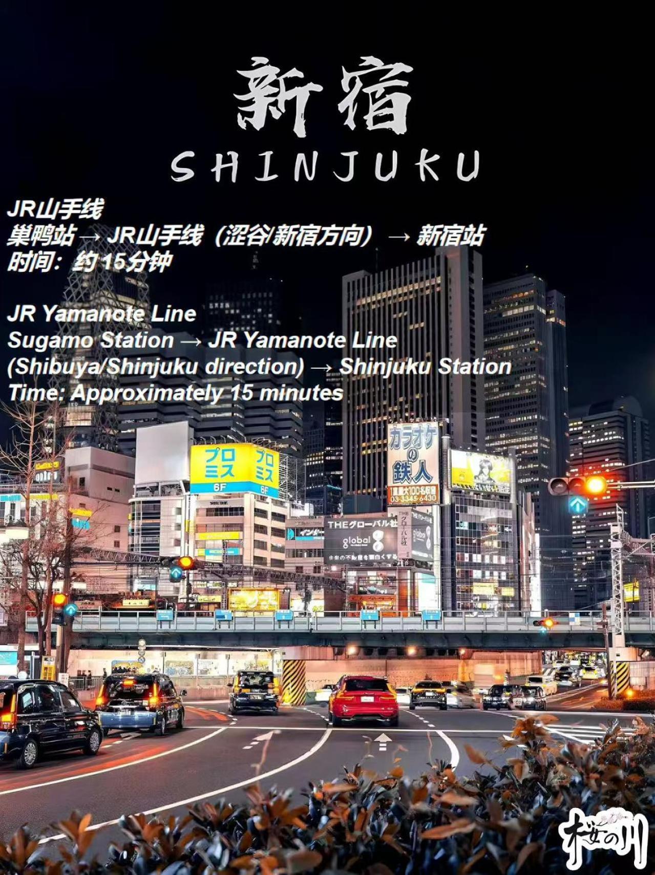 桜の川3 Sugamo Diamond Mansion 105 Direct To Ikebukuro Yamanote Line 5mins Apartemen